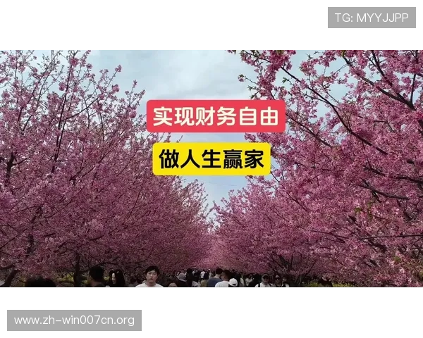 速盈官方用户分享：他们如何利用平台实现财务自由